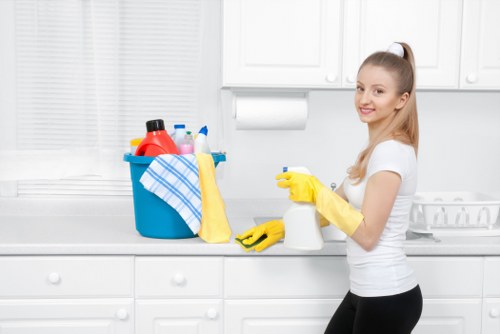 Deep cleaning kitchen appliances