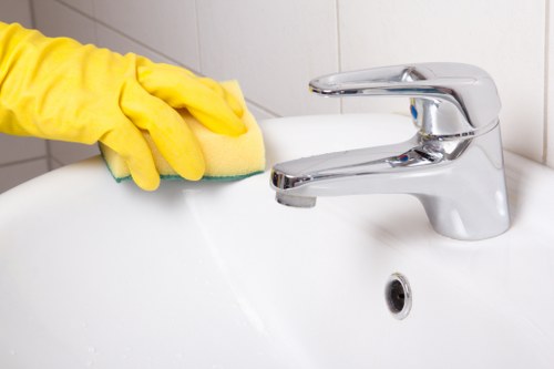 Cleaning tools and products for kitchen maintenance