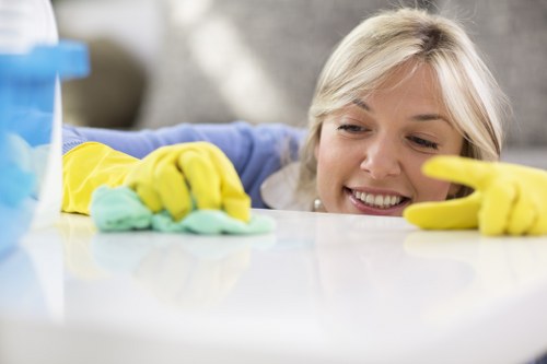 Eco-friendly window cleaning practices in a kitchen setting