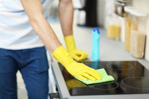 Professional cleaning a modern kitchen