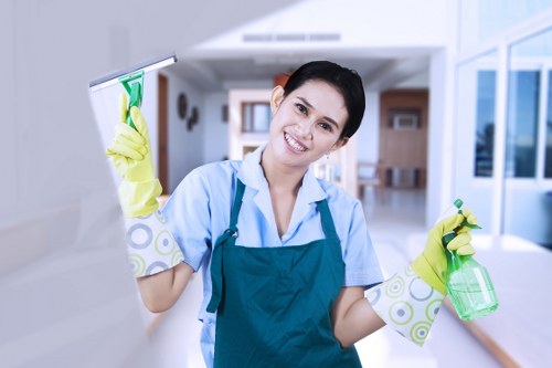 Eco-friendly cleaning products arranged in the kitchen