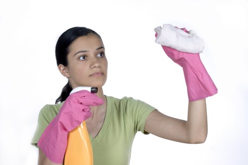 Eco-friendly cleaning products used in kitchen cleaning