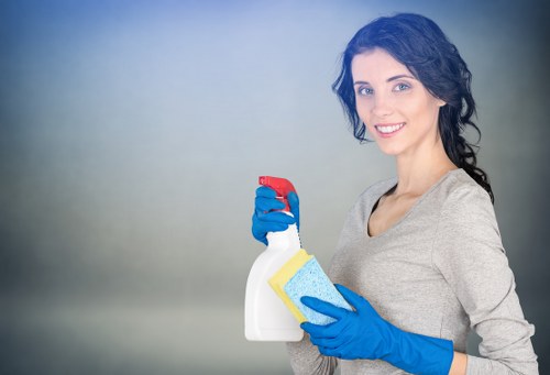 Eco-friendly kitchen cleaning products